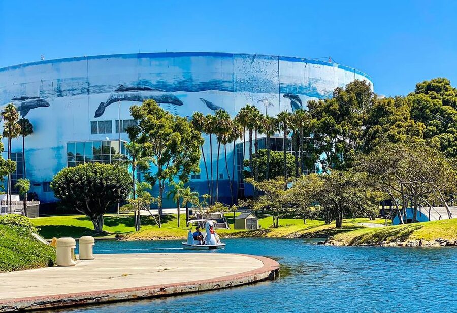 Long Beach: Swan Boat Rental at Rainbow Lagoon - Wind restrictions and route changes