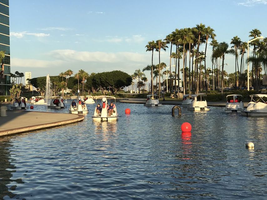Long Beach: Swan Boat Rental at Rainbow Lagoon - Who will enjoy this most