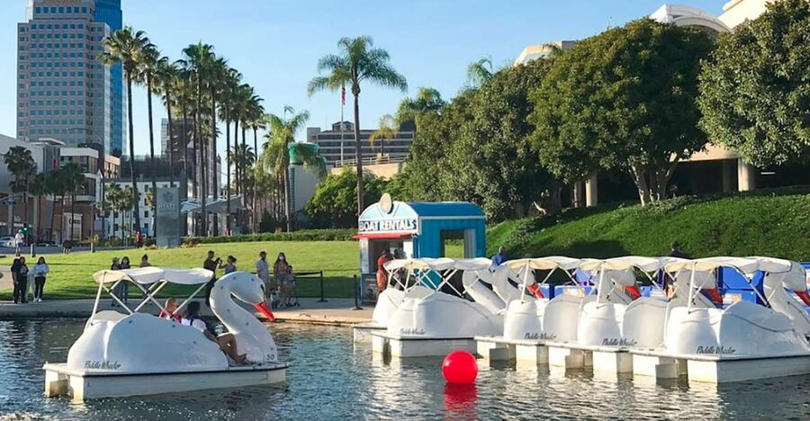 Long Beach: Swan Boat Rental at Rainbow Lagoon - Under the Convention Center’s whale mural