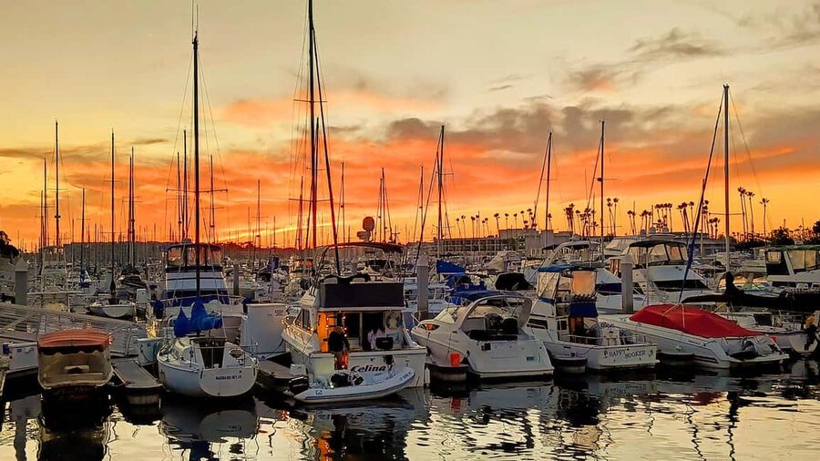 Los Angeles #1: Luxury Boat Cruise-Wine, Cheese & Sea Lions - Key points at a glance