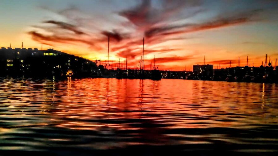 Los Angeles #1: Luxury Boat Cruise-Wine, Cheese & Sea Lions - Sunset, wildlife, and the best time to go