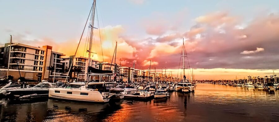 Los Angeles #1: Luxury Boat Cruise-Wine, Cheese & Sea Lions - Who will enjoy this cruise most?