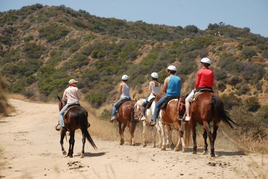 Los Angeles: 2-Hour Hollywood Trail Horseback Riding Tour - The Griffith Park hills and the Hollywood sign