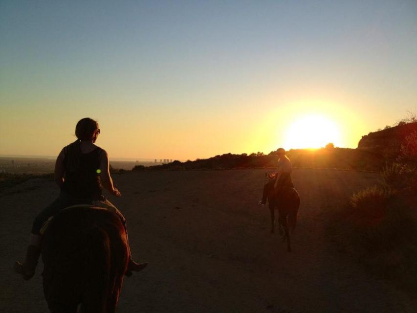 Los Angeles: 2-Hour Hollywood Trail Horseback Riding Tour - Comfort, safety, and the edge of the trail