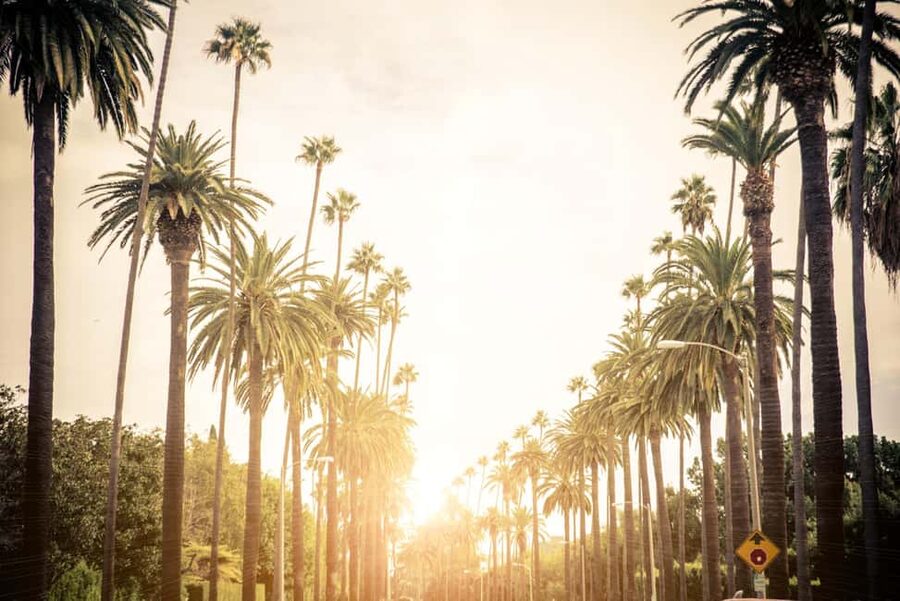 Los Angeles 4-Hour Private Tour: Beverly Hills & More - Why a private car works well in Los Angeles