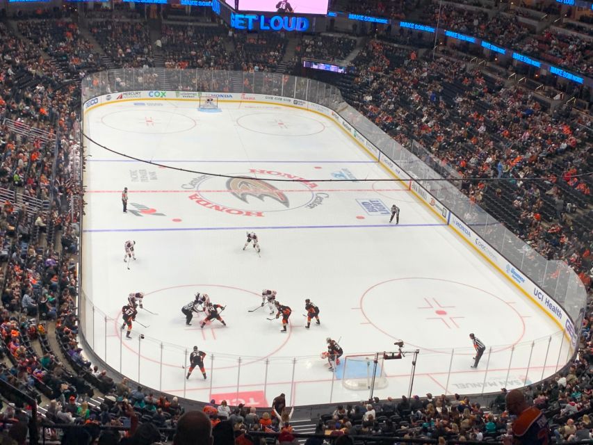 Los Angeles: Anaheim Ducks Ice Hockey Game Ticket - Who will enjoy this game most
