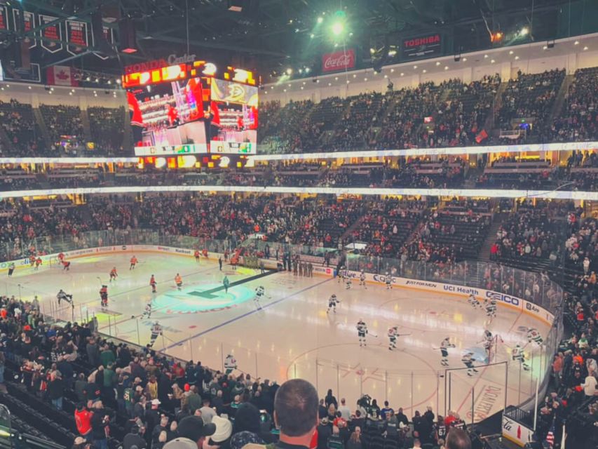 Los Angeles: Anaheim Ducks Ice Hockey Game Ticket - Choosing between budget, regular, and premium seats