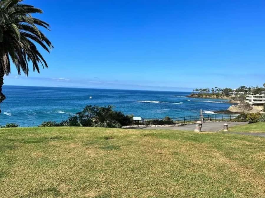 Los Angeles: Best Beaches Tour from Anaheim - Three Orange County beaches in one day