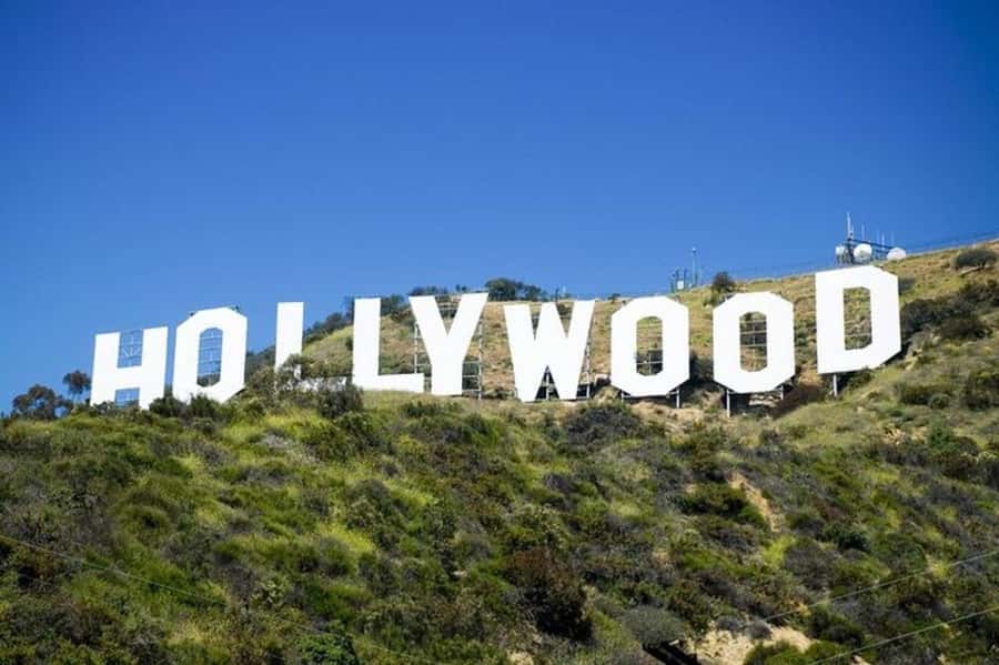 Los Angeles: City Highlights Tour From Cruise Port - One day to connect a very spread-out city