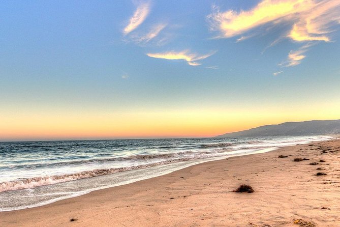 Los Angeles Coast and Beaches Private Tour - Venice canals and the beach scene