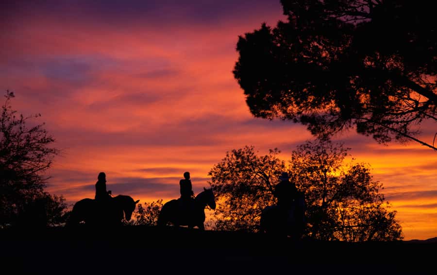 Los Angeles: Evening 2-Hour Hollywood Horseback Riding Tour - Getting comfortable with the horse and helmet