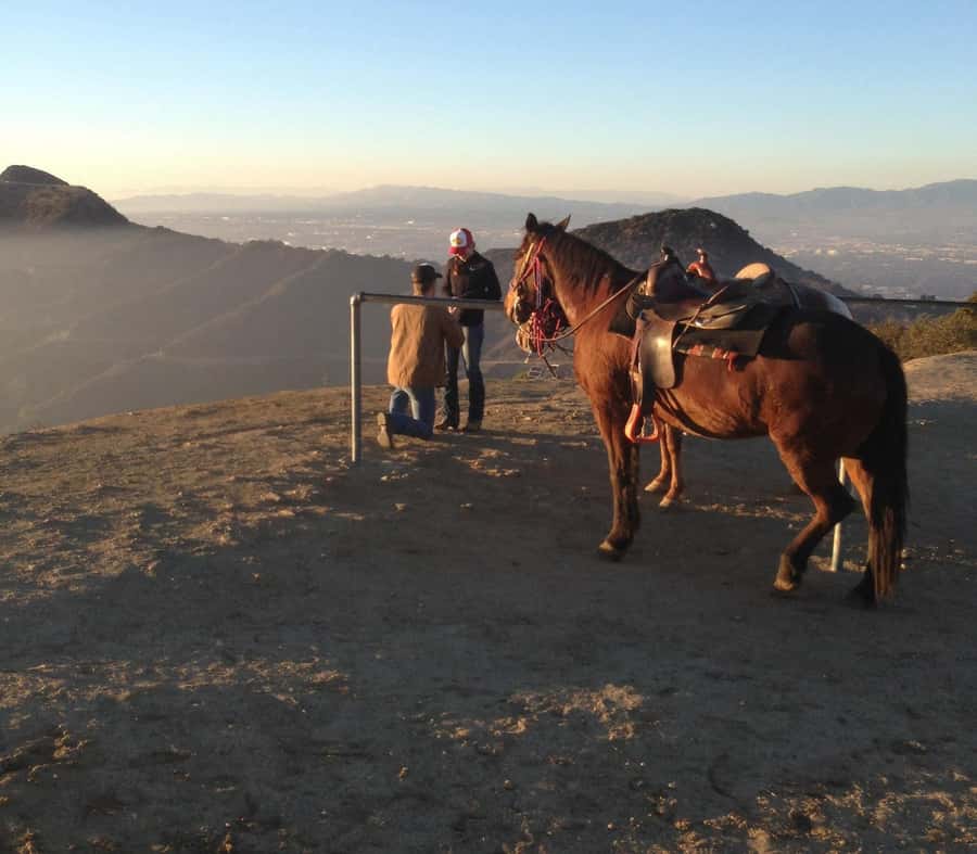 Los Angeles: Evening 2-Hour Hollywood Horseback Riding Tour - Arriving at Sunset Ranch Hollywood