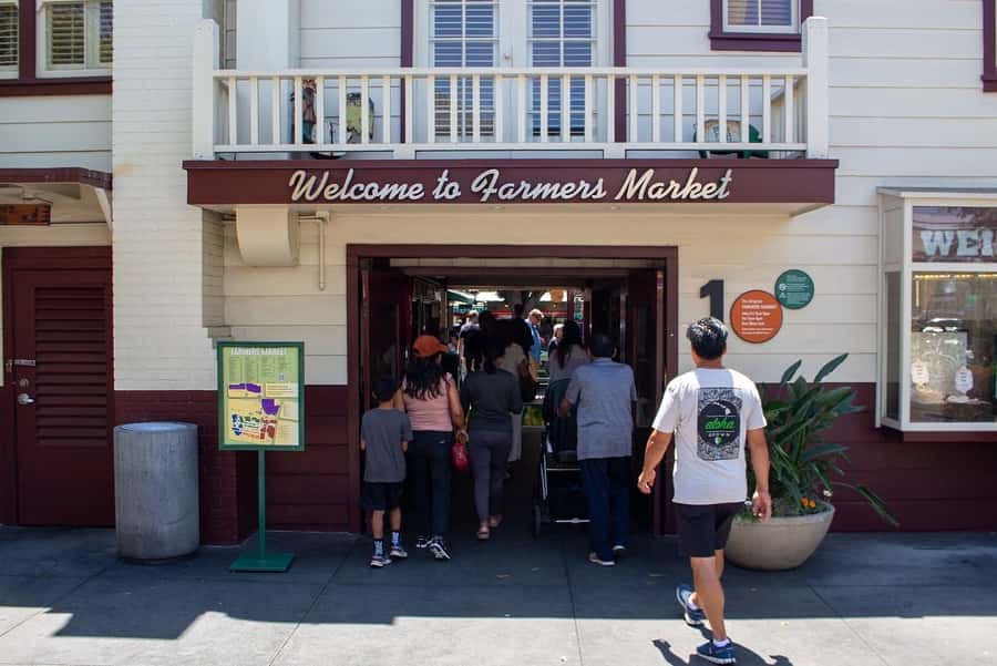 Los Angeles: Famous Neighbourhoods and Celebrity Homes Tours - A useful way to see a very spread-out city