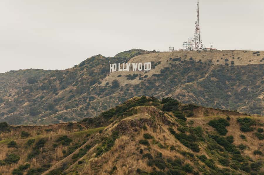 Los Angeles: Half-Day Best of LA Tour - Is $59 a good value?