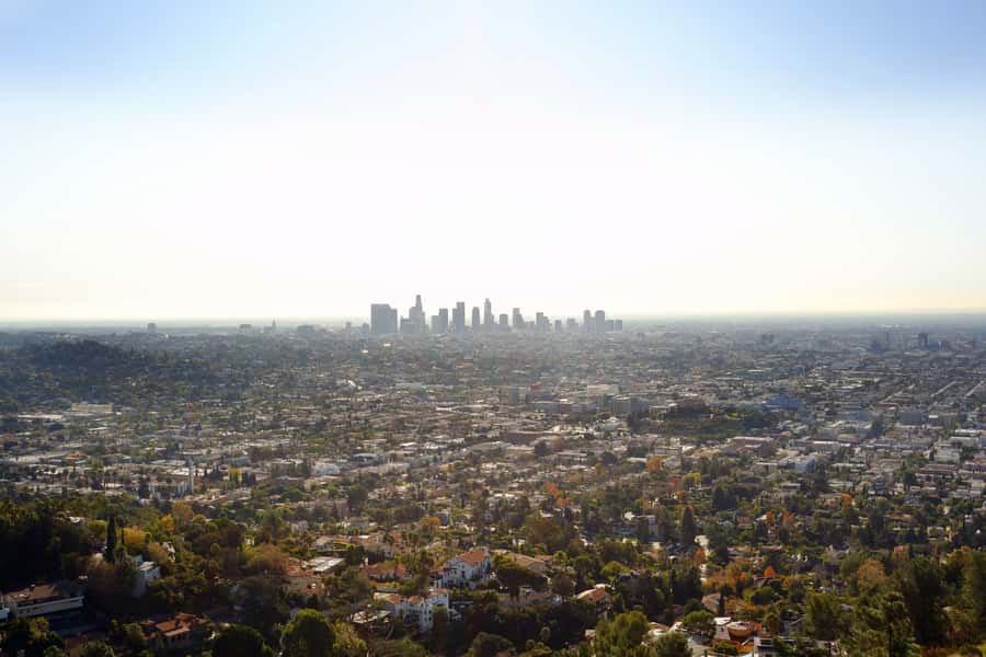 Los Angeles, Hollywood, & Beverly Hills Afternoon City Tour - Who Should Book This Afternoon Tour?