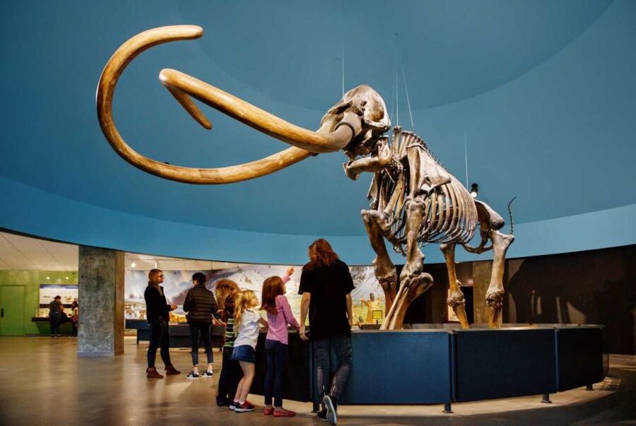 Los Angeles: La Brea Tar Pits Museum Ticket - Practical planning for your visit