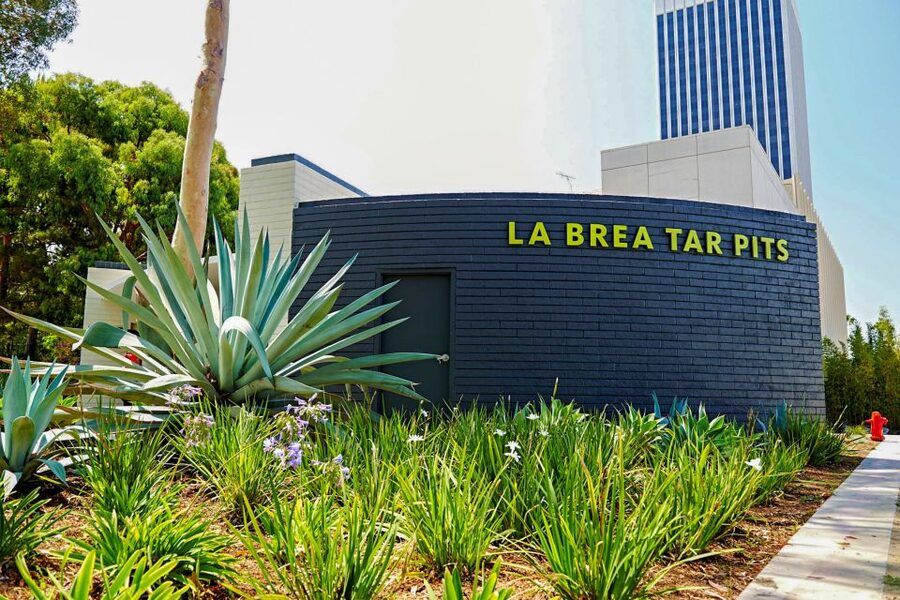 Los Angeles: La Brea Tar Pits Museum Ticket - Why La Brea Tar Pits feels different from a normal museum