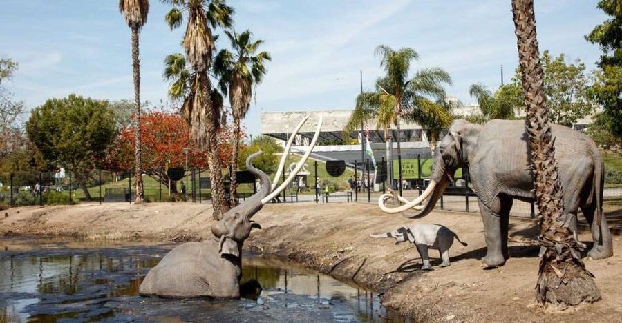 Los Angeles: La Brea Tar Pits Museum Ticket - Inside the museum: a compact collection with a clear story
