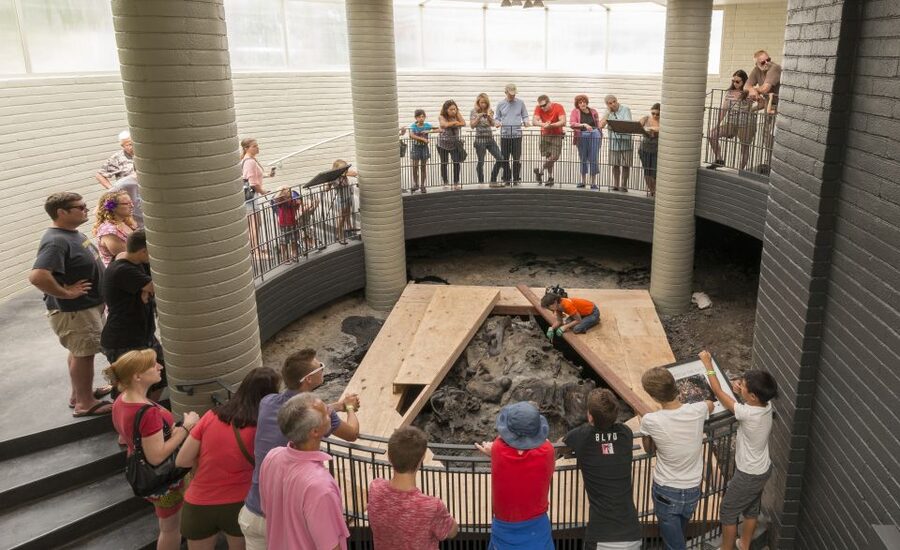 Los Angeles: La Brea Tar Pits Museum Ticket - Pit 91 and the free Excavator Tour