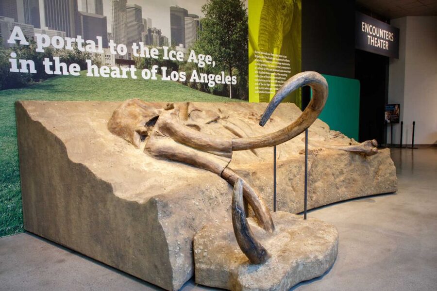 Los Angeles: La Brea Tar Pits Museum Ticket - What the $18 admission buys you