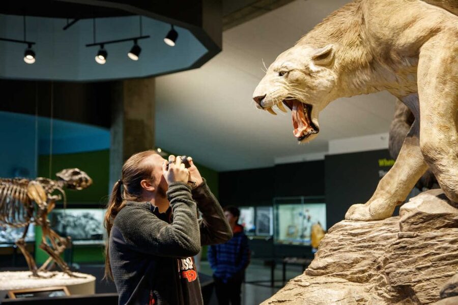 Los Angeles: La Brea Tar Pits Museum Ticket - How much time should you allow?