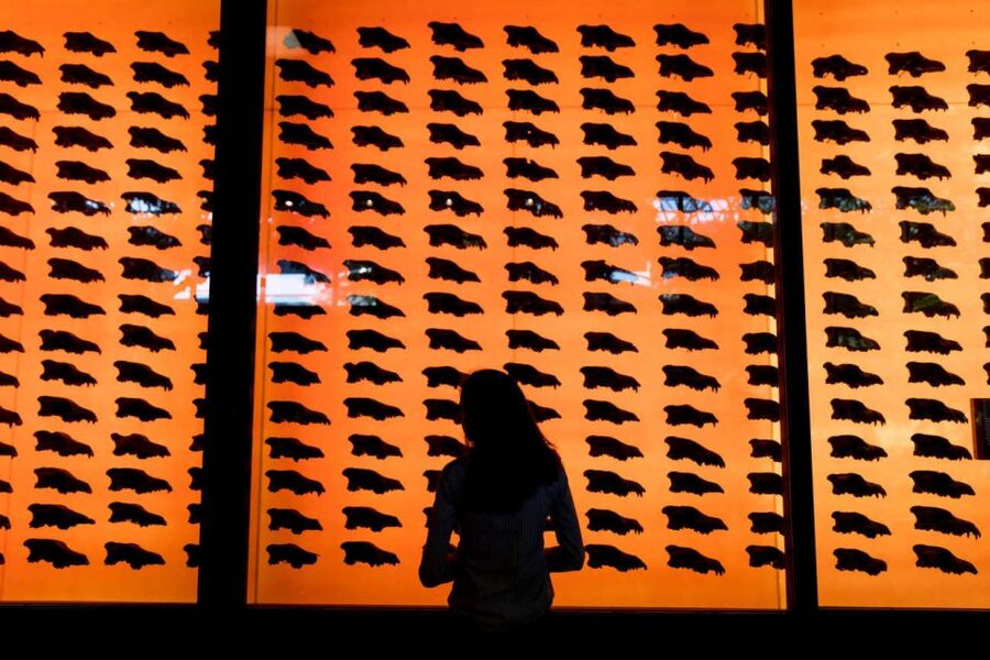Los Angeles: La Brea Tar Pits Museum Ticket - Who will enjoy this most?