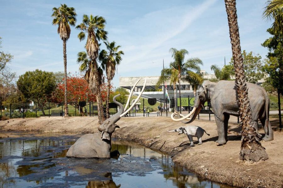 Los Angeles: La Brea Tar Pits Museum Ticket - Starting outdoors at the bubbling tar pits