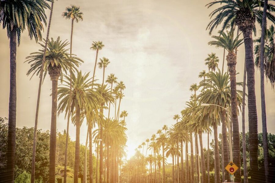 Los Angeles: LA in a Day Guided Electric Bike Tour - Lunch at Venice Beach and a walk through the canals