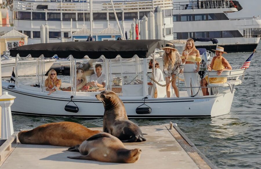 Los Angeles: Luxury Cruise with Wine, Cheese & Sea Lions - A calm way to see Marina del Rey