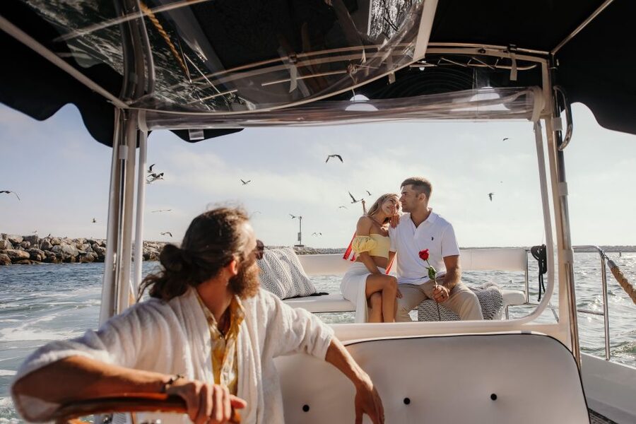 Los Angeles: Luxury Cruise with Wine, Cheese & Sea Lions - Wine, cheese, and a practical lunch-size spread