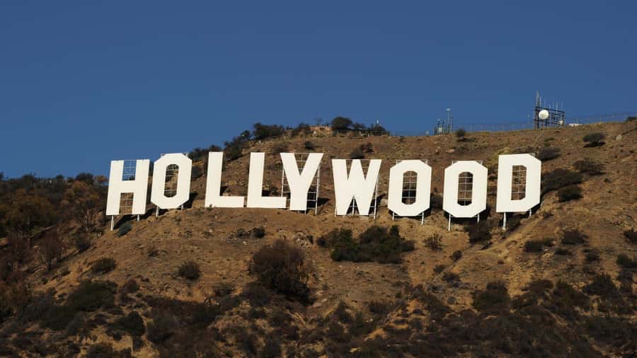 Los Angeles: Luxury Privet Tour - Beverly Hills and Hollywood: famous names, limited depth
