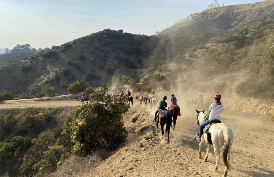 Los Angeles: Mulholland Trail Horseback Riding Tour - Starting at Sunset Ranch beneath the Hollywood Sign
