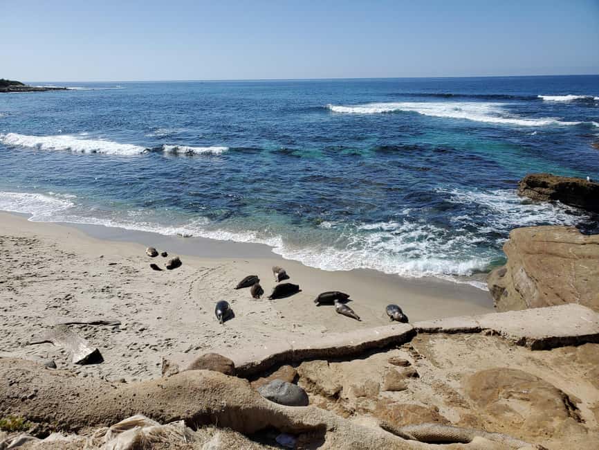 Los Angeles: private tour to San Diego - A private route makes the timing more useful