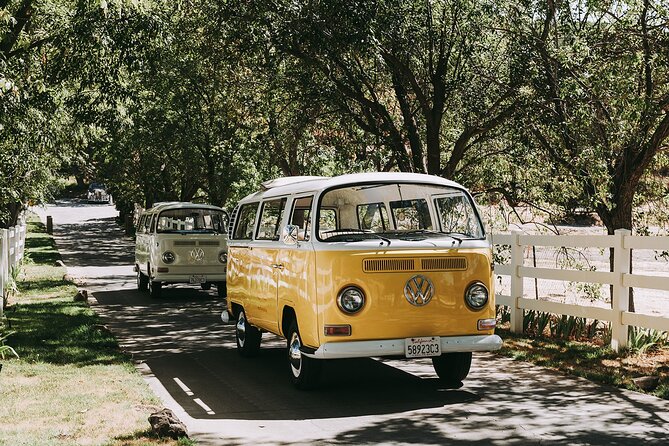 Los Angeles: Private Vintage VW Bus Tour in Malibu - Who will enjoy this tour most