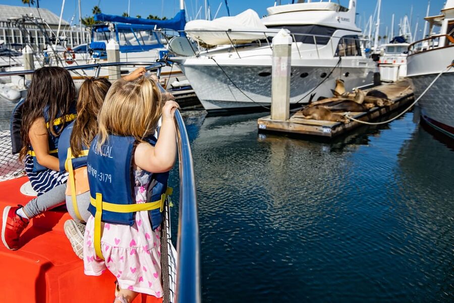 Los Angeles: Redondo Beach Glass Bottom Boat Cruise - What makes this Redondo Beach boat ride appealing