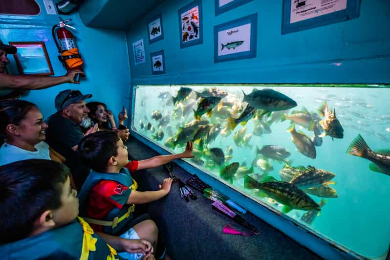 Los Angeles: Redondo Beach Glass Bottom Boat Cruise - Is $33 good value?