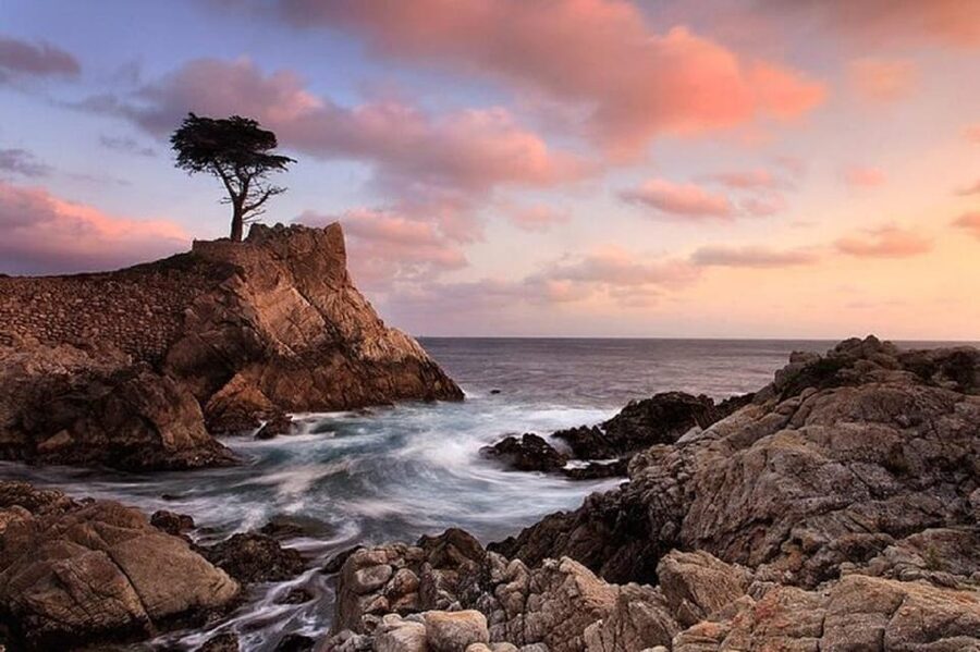 Los Angeles-San Francisco,Yosemite National Park 3-Day Tour - Who should book this three-day tour?