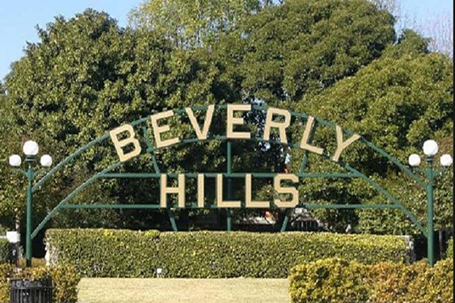 Los Angeles Sightseeing Tour: From Anaheim & Buena Park - Hollywood Boulevard and the Chinese Theatre