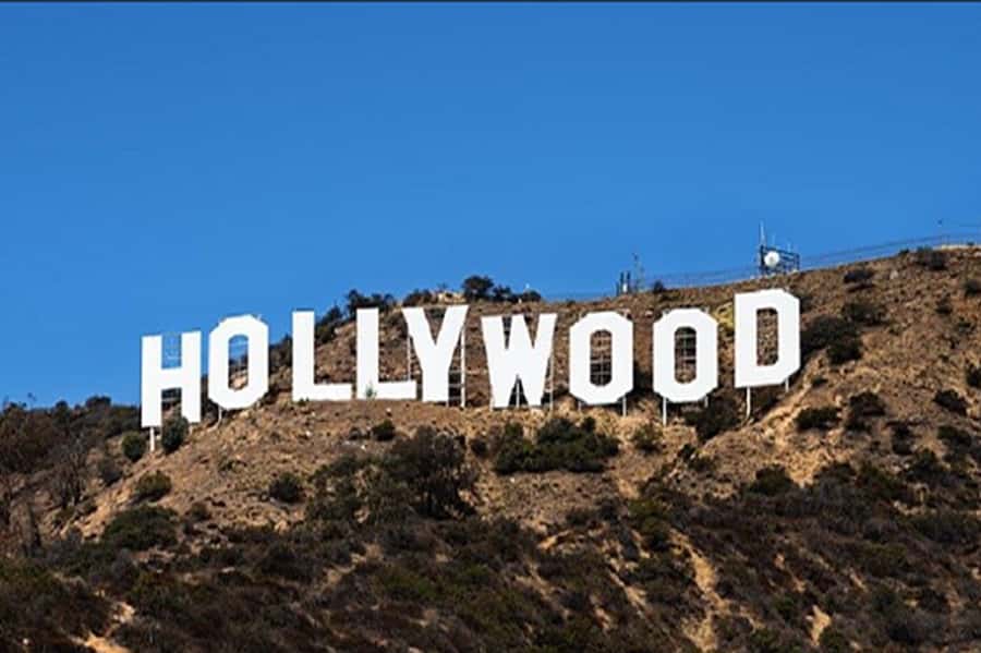 Los Angeles Sightseeing Tour: From Anaheim & Buena Park - Venice Beach and Muscle Beach