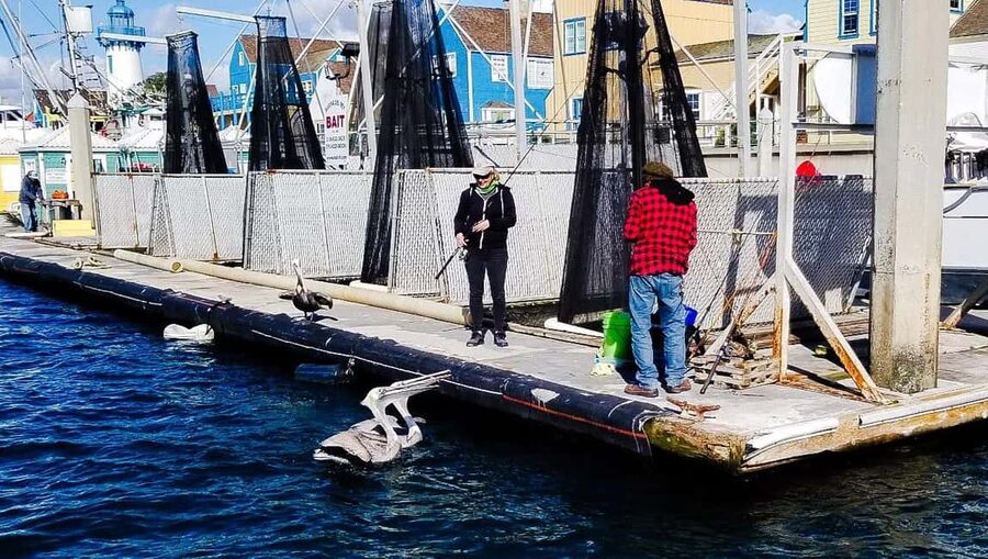 Los Angeles: Sunset Sailing - Music, conversation, and the right pace