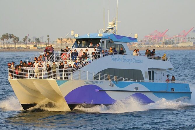 Los Angeles Whale and Dolphin Watching Cruise from West Harbor - Seeing the Aquarium from the water