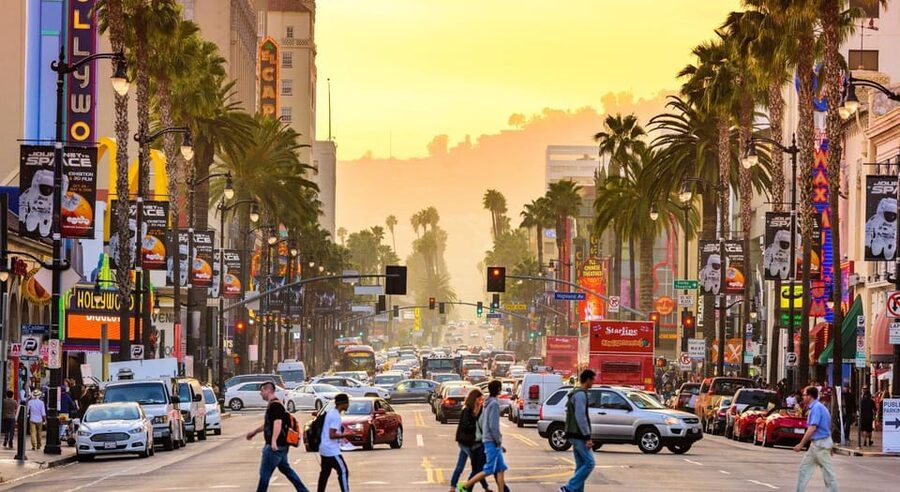 Los Angles: Private Customized Day Tour with Driver - Why the driver service is useful, and where it stops