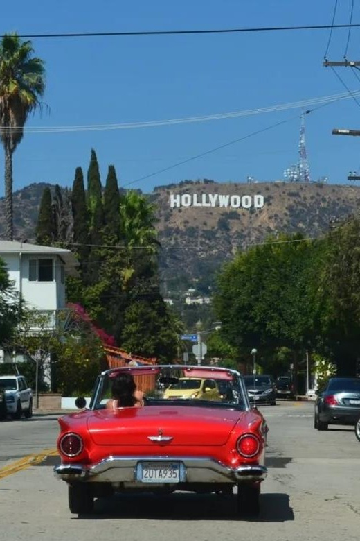 Los Angles: Private Customized Day Tour with Driver - Cars, luggage, and child seats