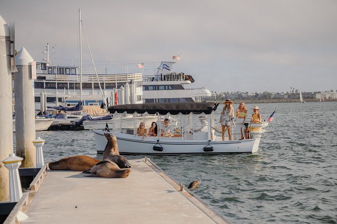 Luxury Shared E-Boat Cruise with Wine, Charcuterie & Sea Lions Spotting - The value of a $119 ticket
