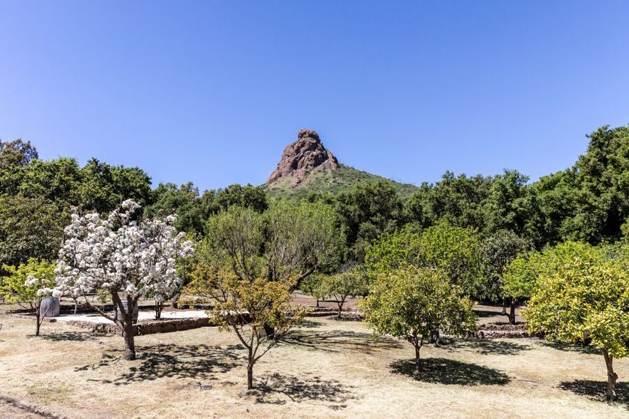Malibu: Guided Vineyard Hike with Photo Stops and Wine - Should you book the Malibu vineyard hike?