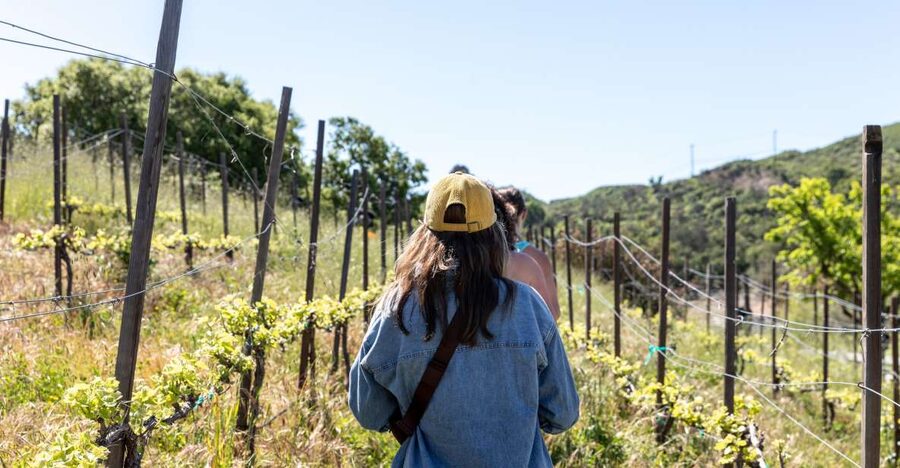 Malibu: Guided Vineyard Hike with Photo Stops and Wine - Ranch animals and the first photo stops