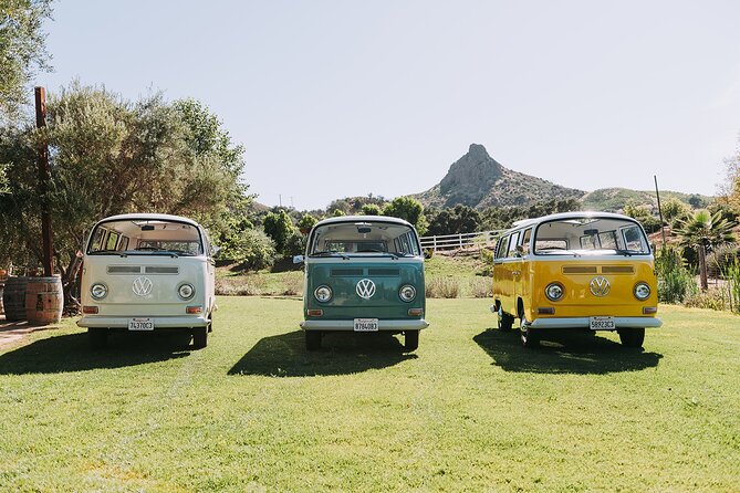 Malibu: Vintage VW Bus and Vineyard Tour - Vintage cars, animals, and the story of the property