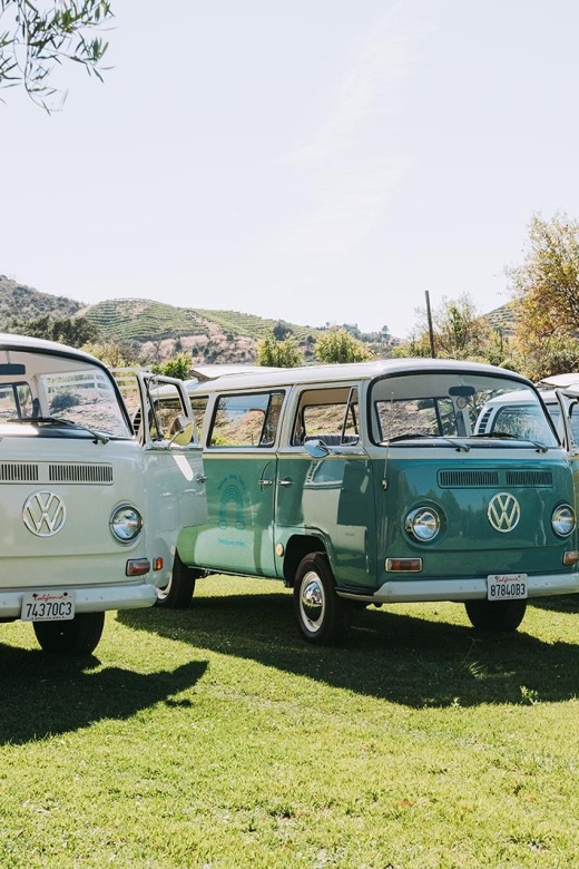 Malibu: Vintage VW Bus and Vineyard Tour - Who will enjoy this tour most?