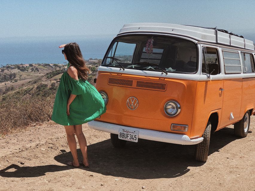 Malibu: Vintage VW Sightseeing Tour and Wine Tasting - Who will enjoy this Malibu outing?