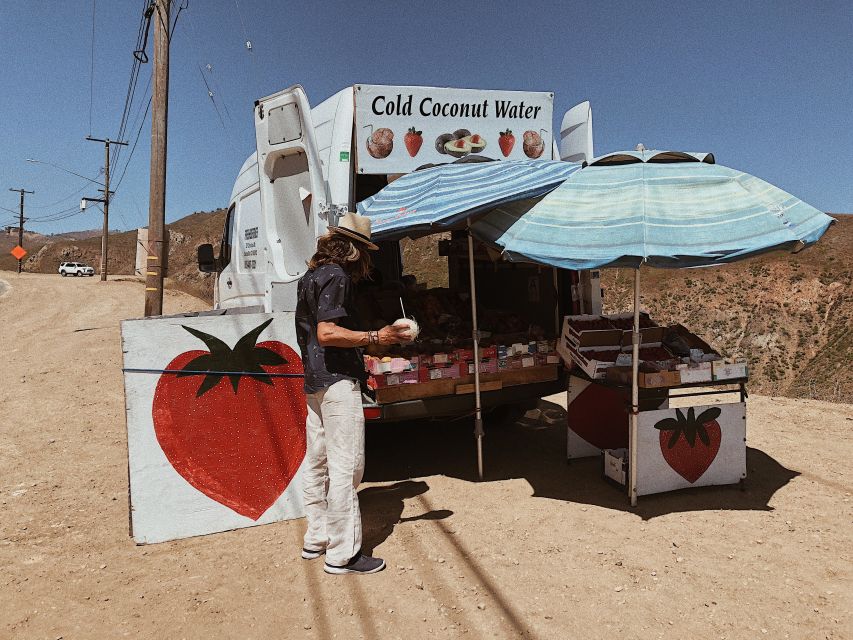 Malibu: Vintage VW Sightseeing Tour and Wine Tasting - Scenic viewpoints and the Point Dume walk